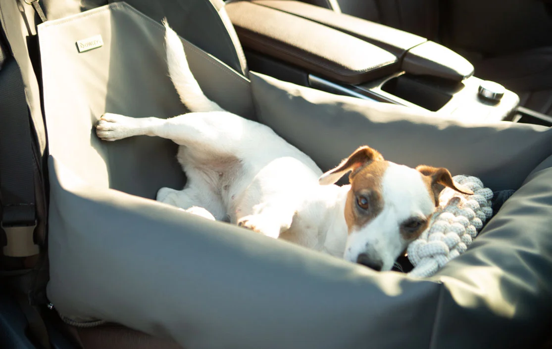 Ram Truck Dog Car Seat for Clumber Spaniels