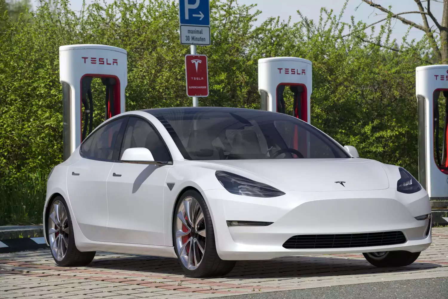 trunk organizer for Tesla Model 3
