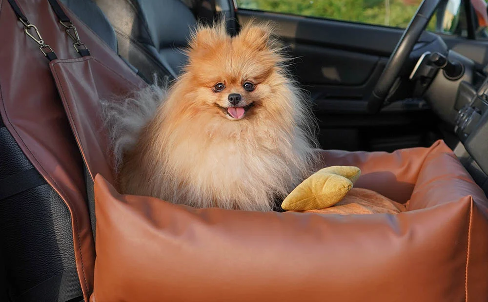 Ford EcoSport Dog Car Seat for Glen of Imaal Terriers