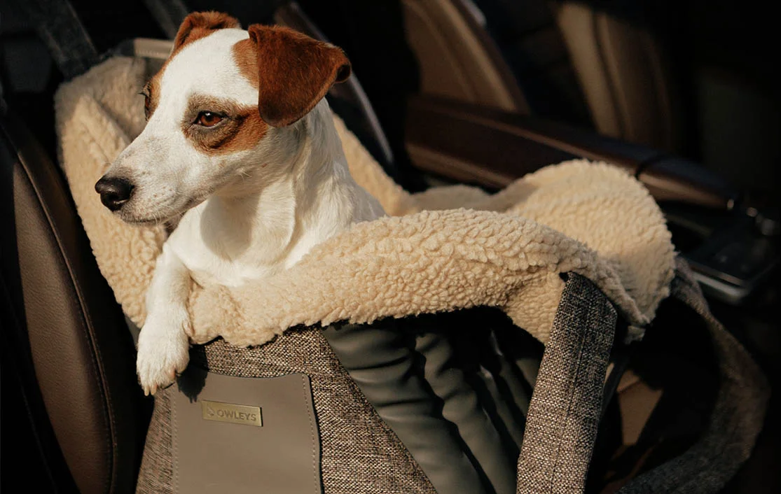 Toyota 4Runner Dog Carrier Car Seat for Kromfohrlander