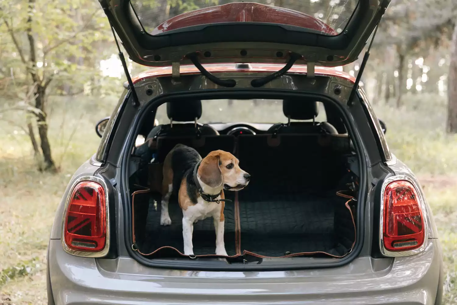 Golden Retrievers back seat cover for Toyota 4Runner