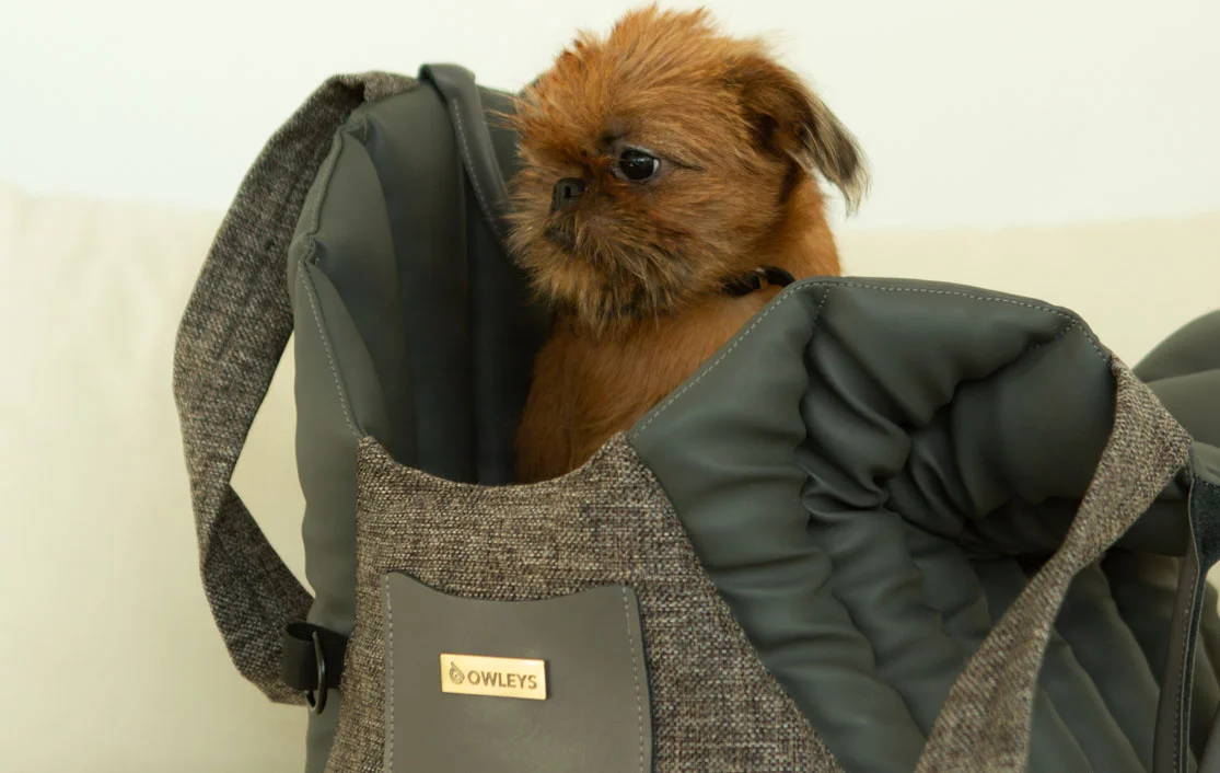 English Toy Spaniel Dog Carrier Car Seat for Ram Truck