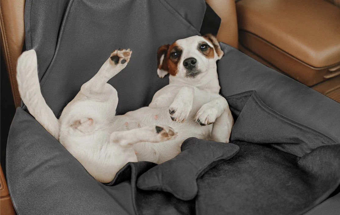 Hyundai Sonata Dog Car Seat for Field Spaniels