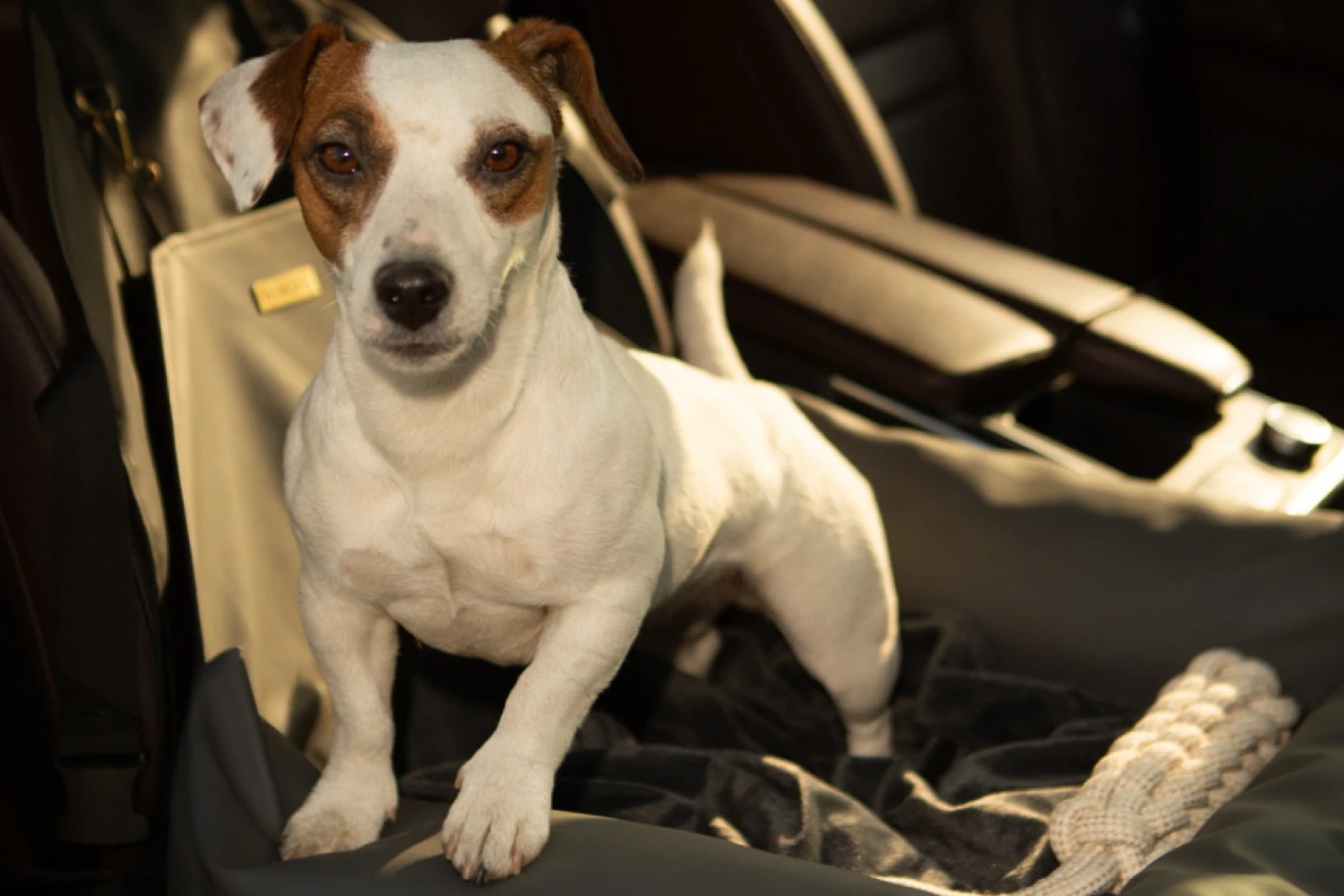 Hyundai Sonata Dog Car Seat for Field Spaniels