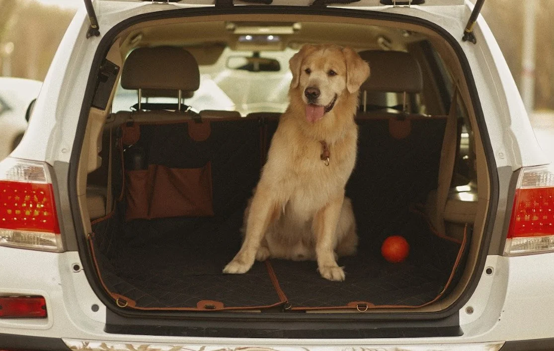 Golden Retrievers back seat cover for Toyota 4Runner