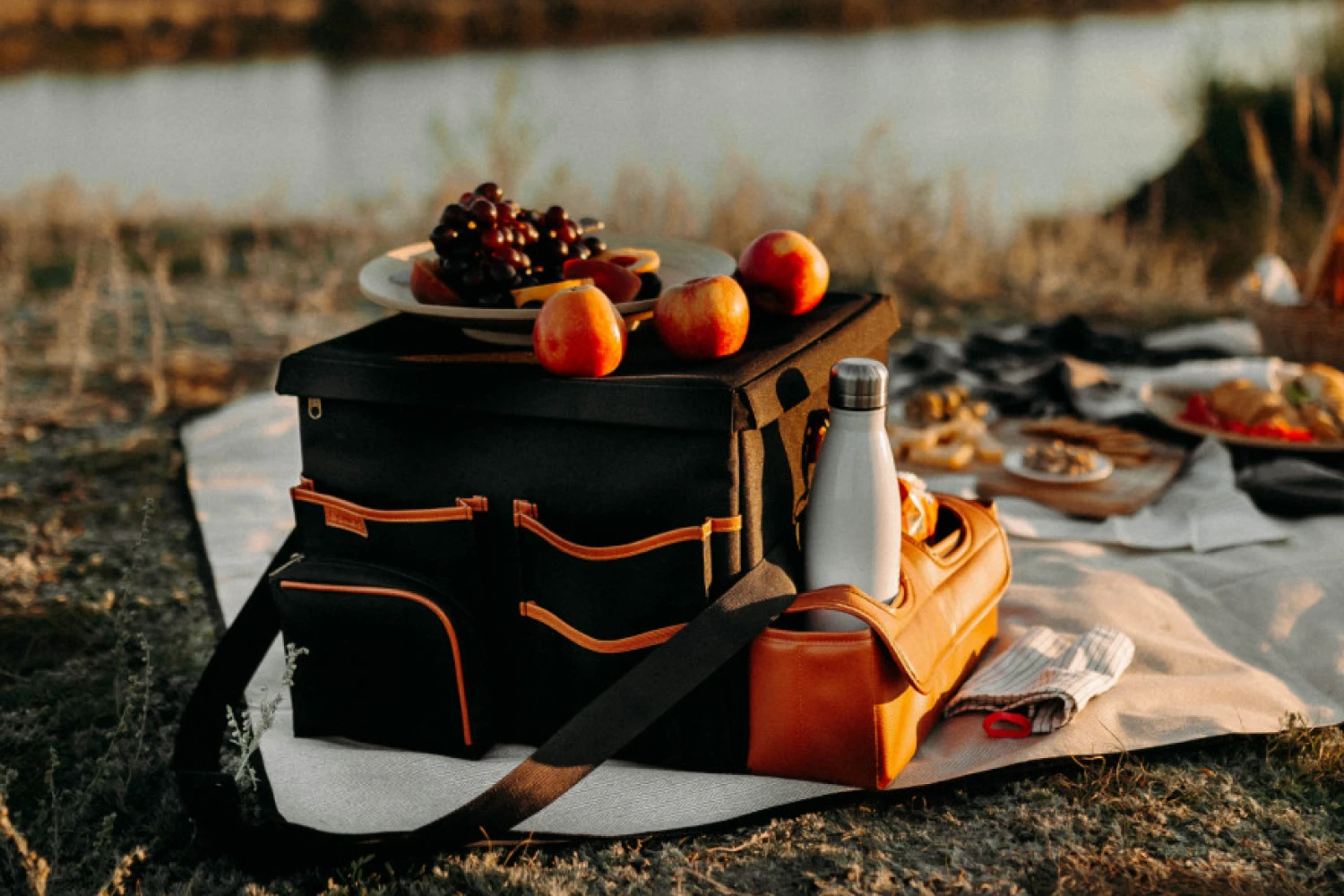 Kia Optima organizer for road trip