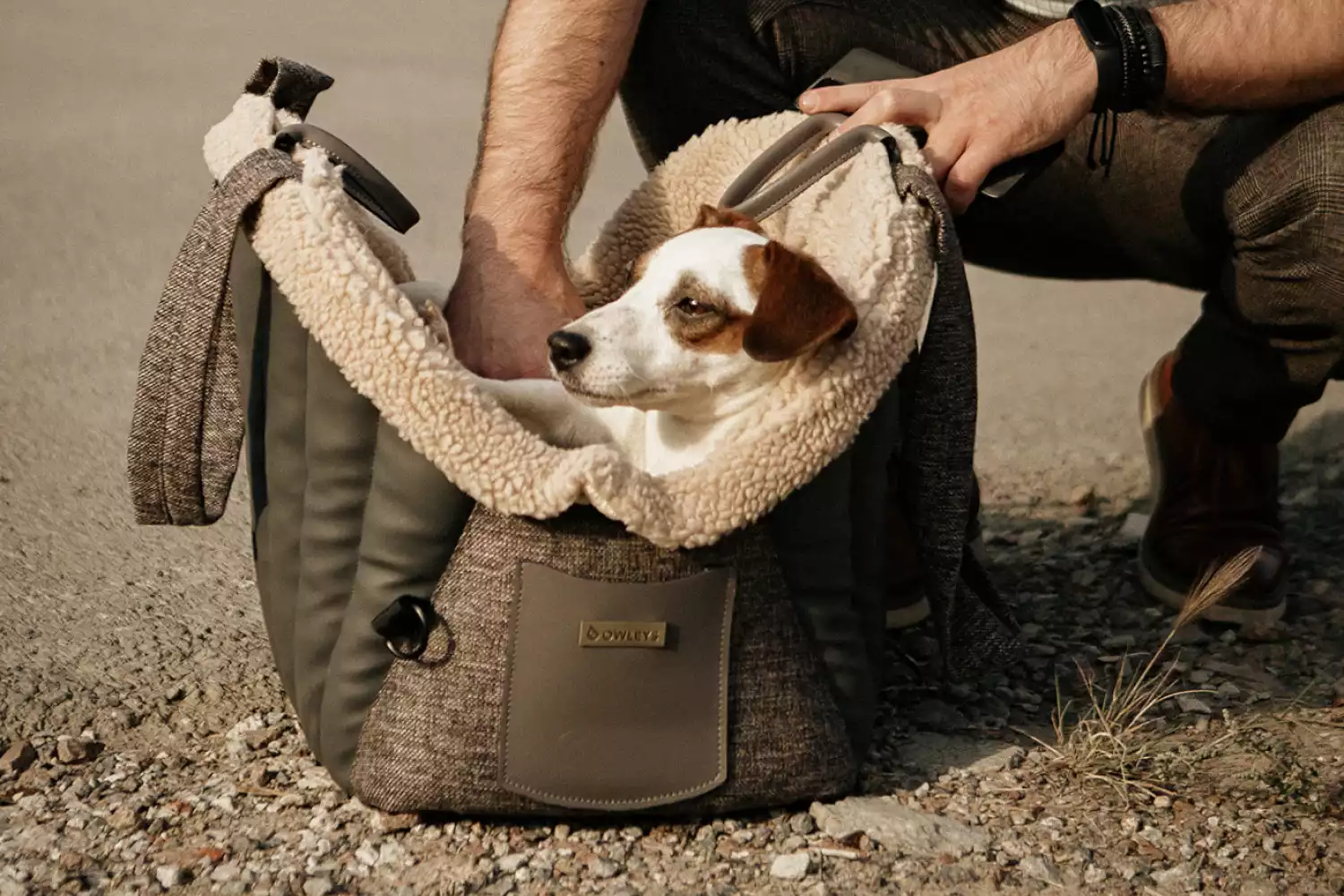 English Toy Spaniel Dog Carrier Car Seat for Ram Truck