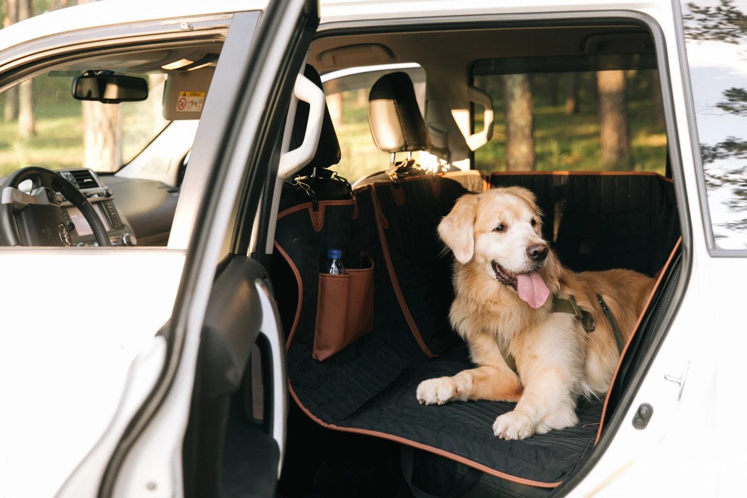 dog back seat cover for Toyota Tundra