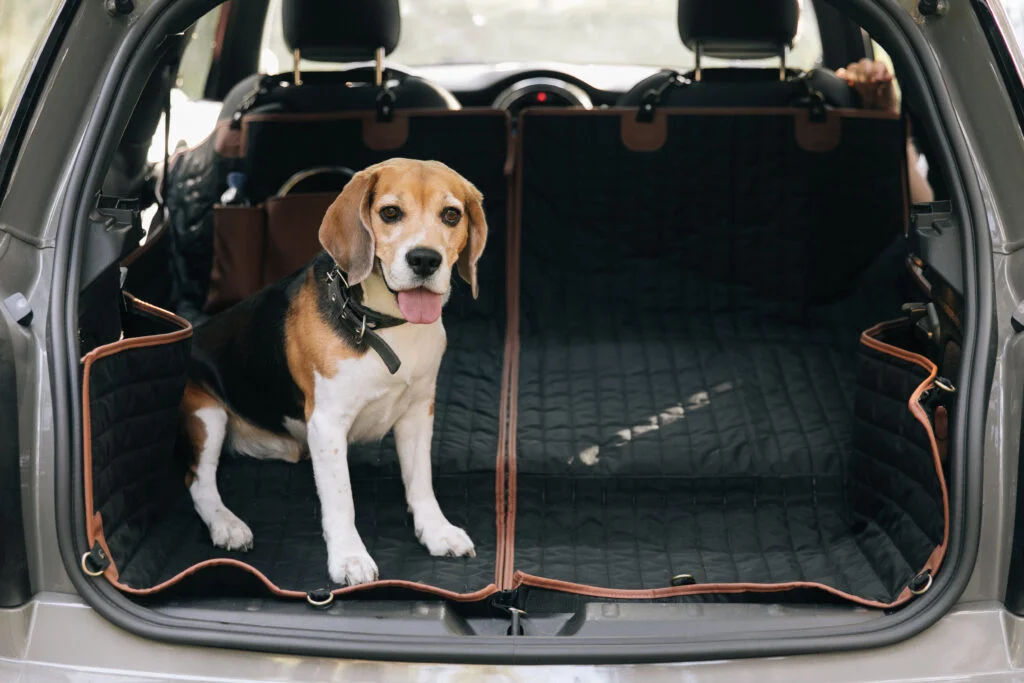 Hyundai Palisade back seat cover for Gordon Setters