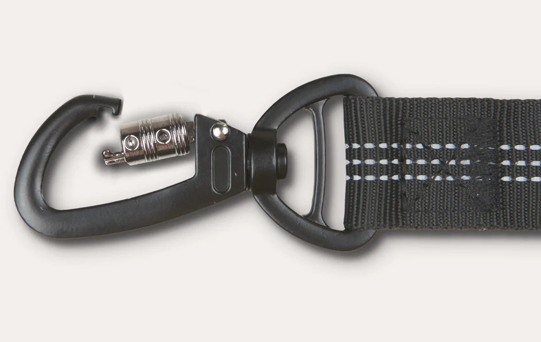 Chihuahuas  Dog Safety Belt for Chevrolet Camaro