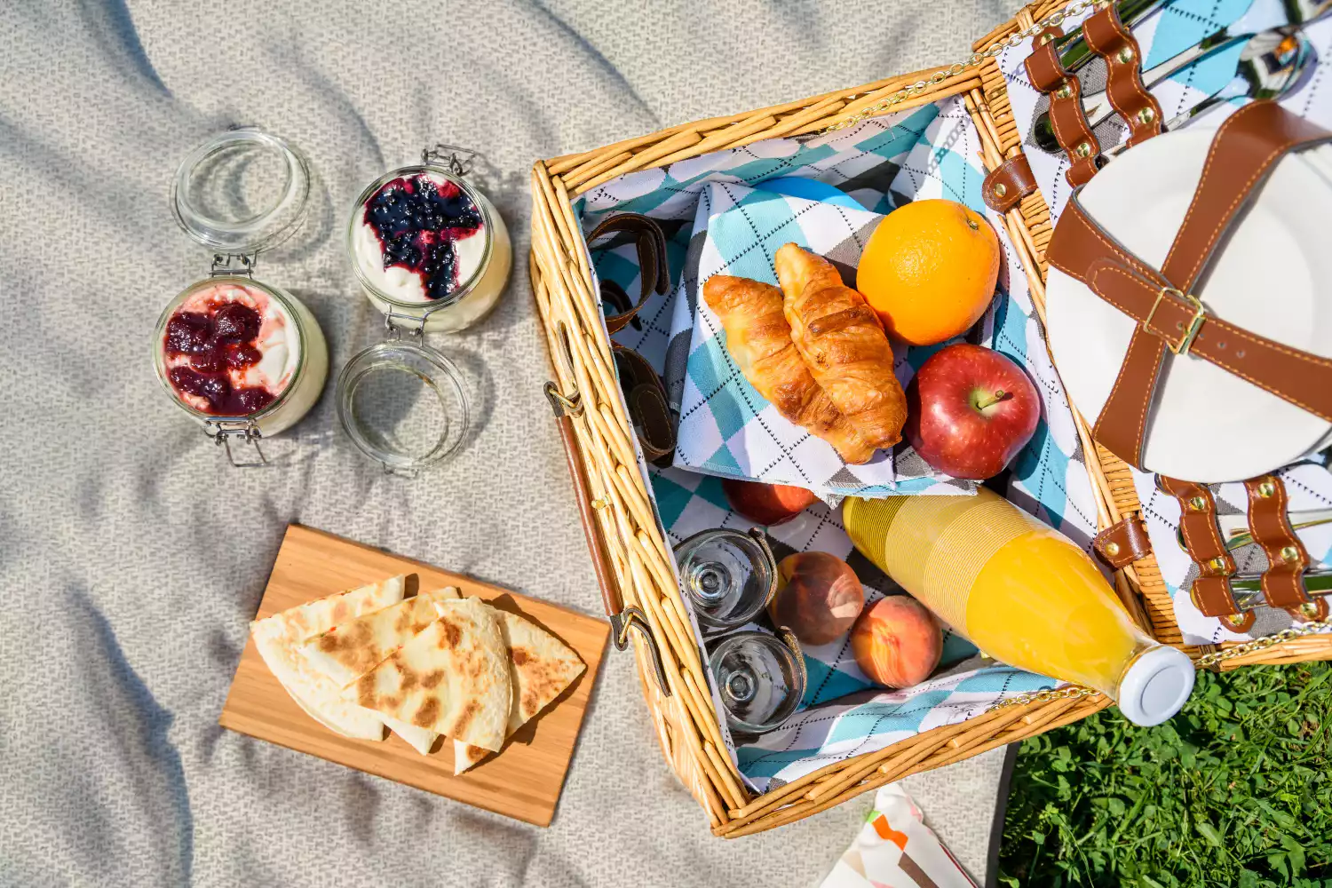 picnic blanket travel