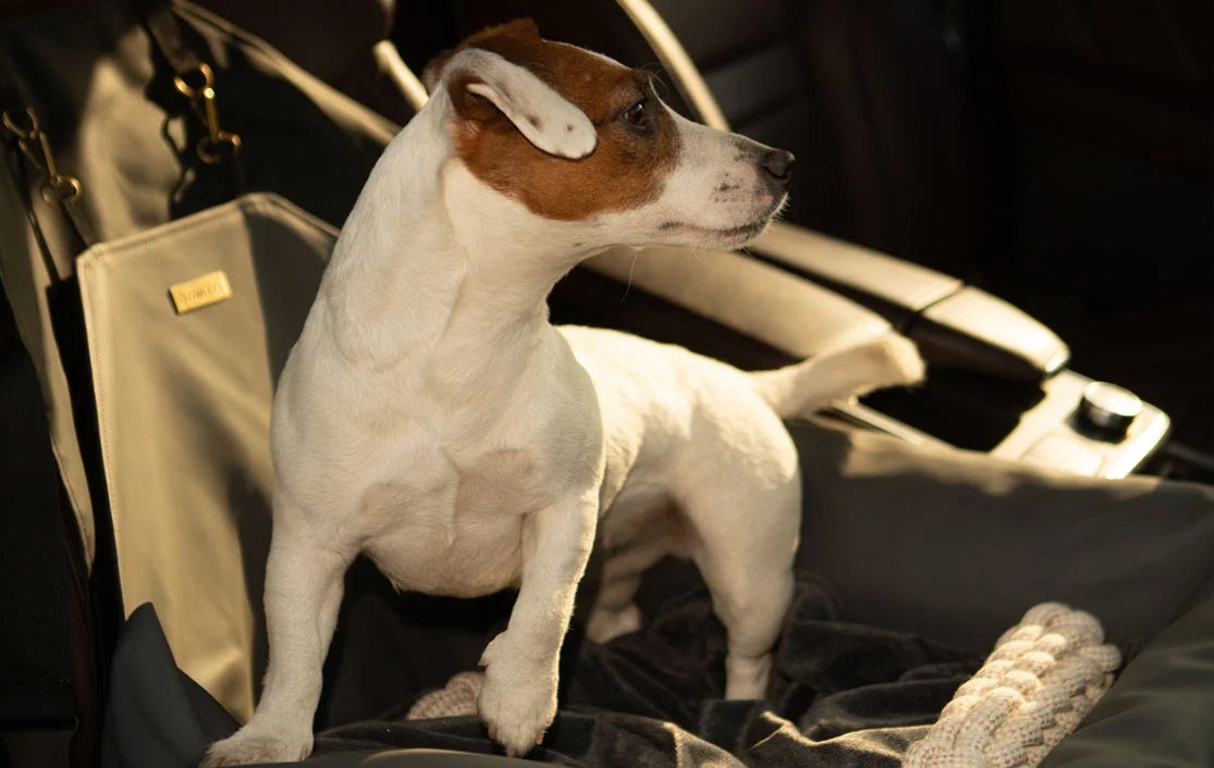 Ram Truck Dog Car Seat for Clumber Spaniels