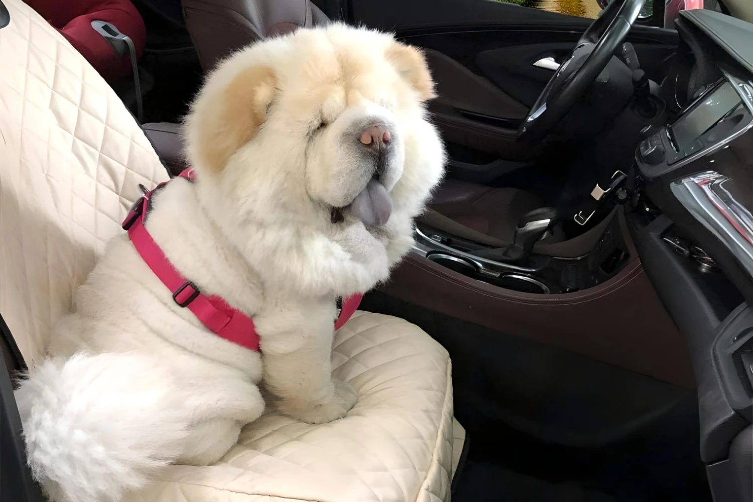 Ram Truck Dog Car Seat Belt for Chow Chows