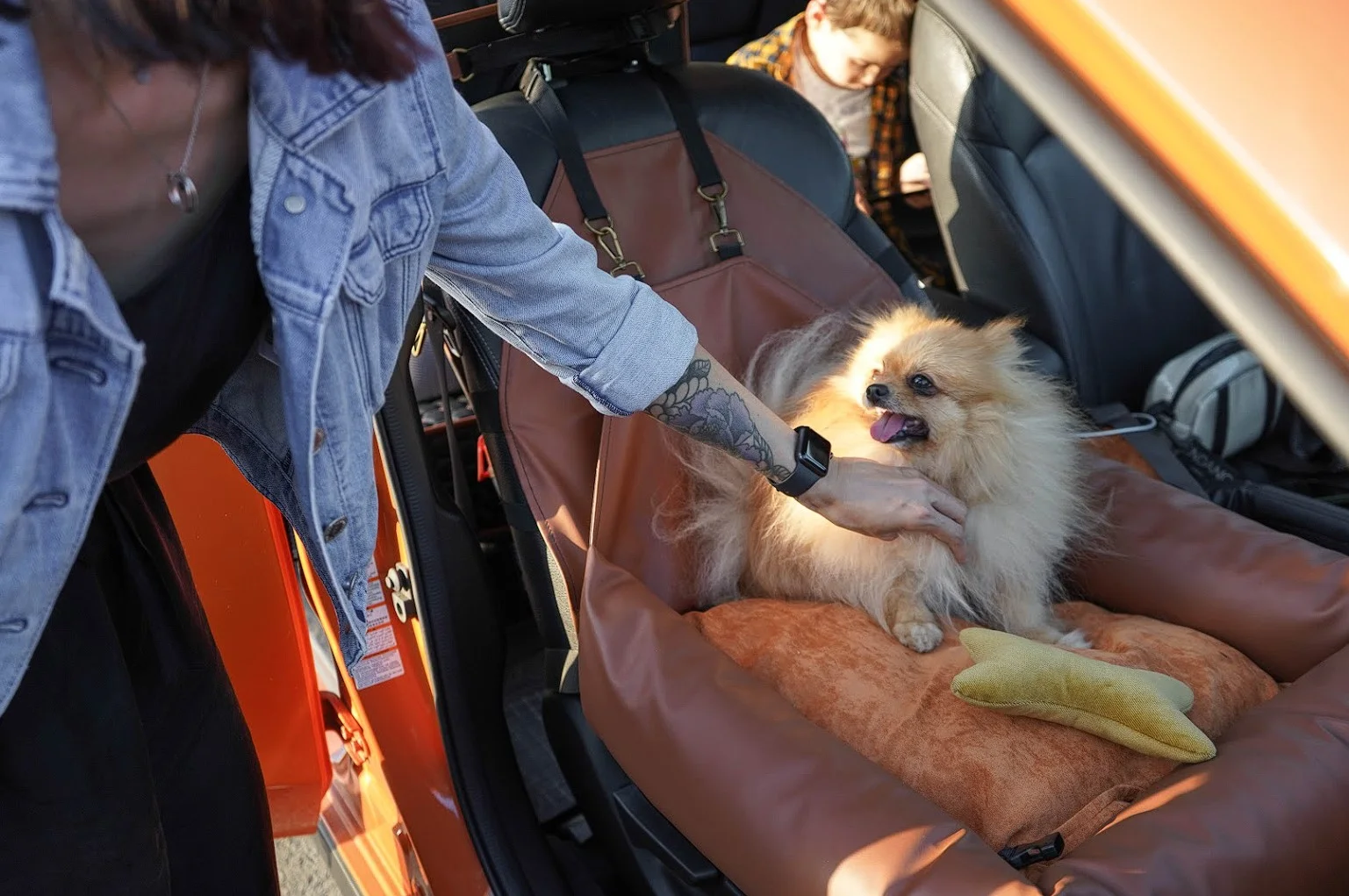 Honda HR-V Dog Car Seat for Cotons de Tulear