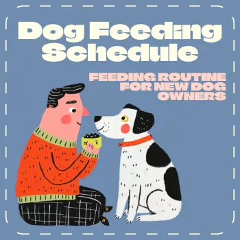 Dog Feeding Schedule Checklist: Easy Puppy & Adult Routine